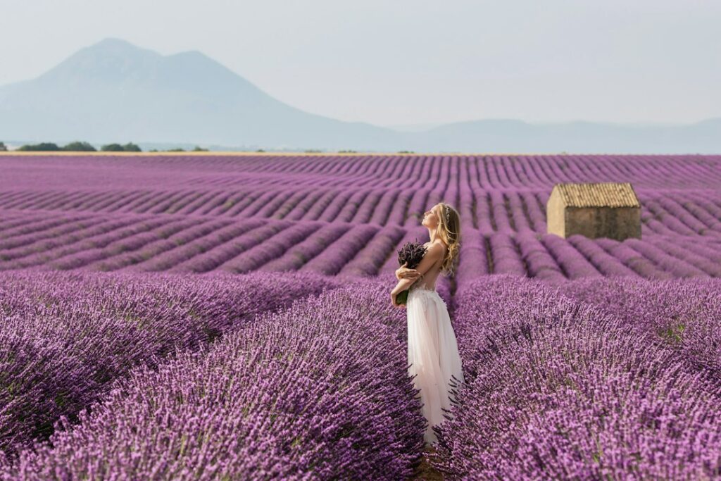 A bride in a white wedding dress standing in blooming purple lavender fields in Provence, France, with mountains in the background