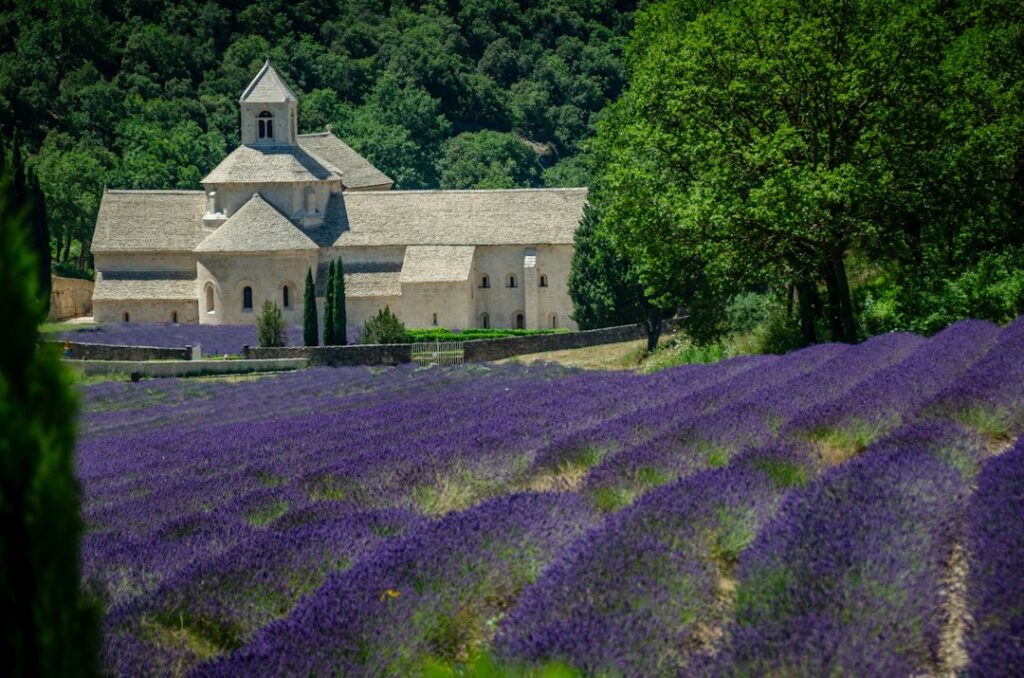 Sénanque Abbey surrounded by purple lavender fields in Provence, France — iconic Provençal landscape for a summer wedding