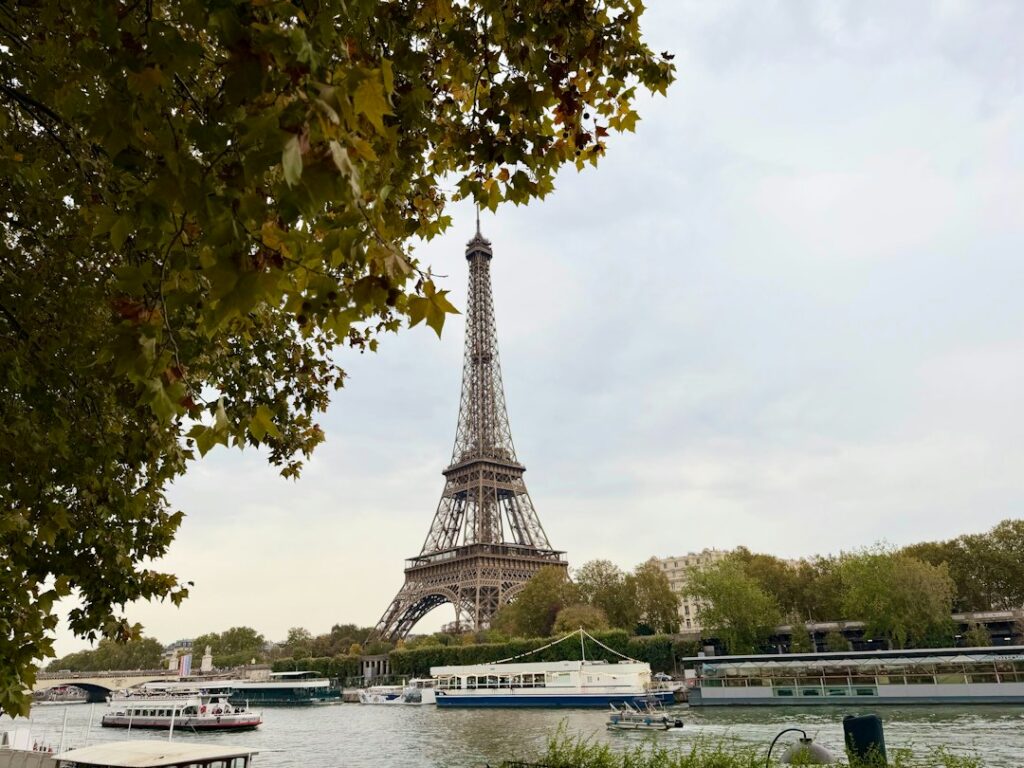 The Eiffel Tower and Seine river seen through autumn foliage in Paris, an iconic backdrop for a Parisian wedding